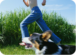 מרכז וטרינרי-ד"ר סרגיי אוחנוב