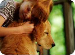 מרכז וטרינרי-ד"ר סרגיי אוחנוב