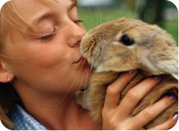 מרכז וטרינרי-ד"ר סרגיי אוחנוב